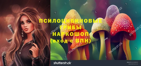 дурь Вязьма