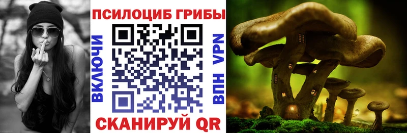 Псилоцибиновые грибы Cubensis  Верхняя Салда 